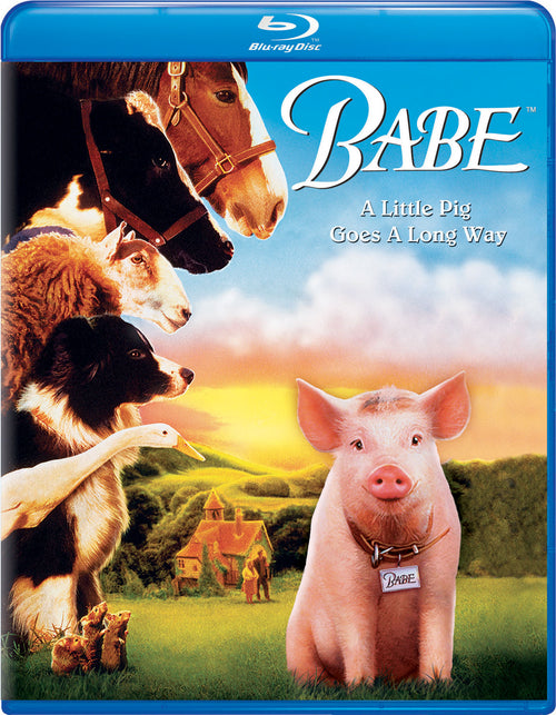 Babe (Special Edition) [DVD]