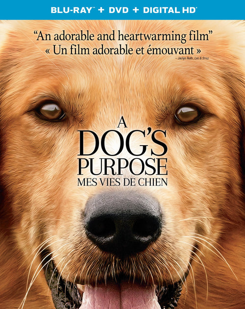 A Dog's Purpose (Blu-ray + DVD) [Blu-Ray]