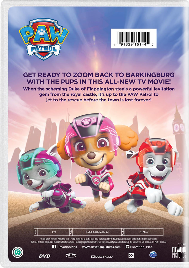 PAW Patrol: Jet to the Rescue [DVD]