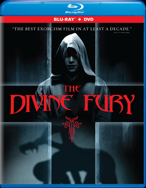 The Divine Fury (with DVD) [Blu-ray]