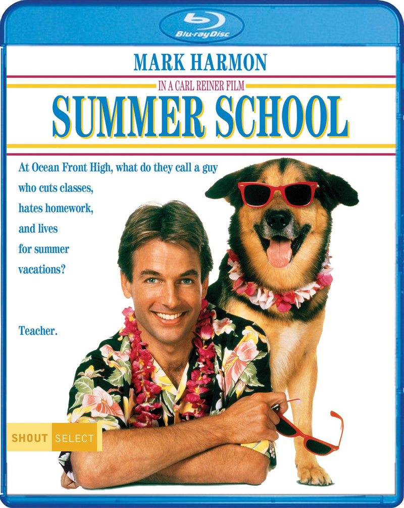 Summer School [Blu-ray] [Blu-ray]