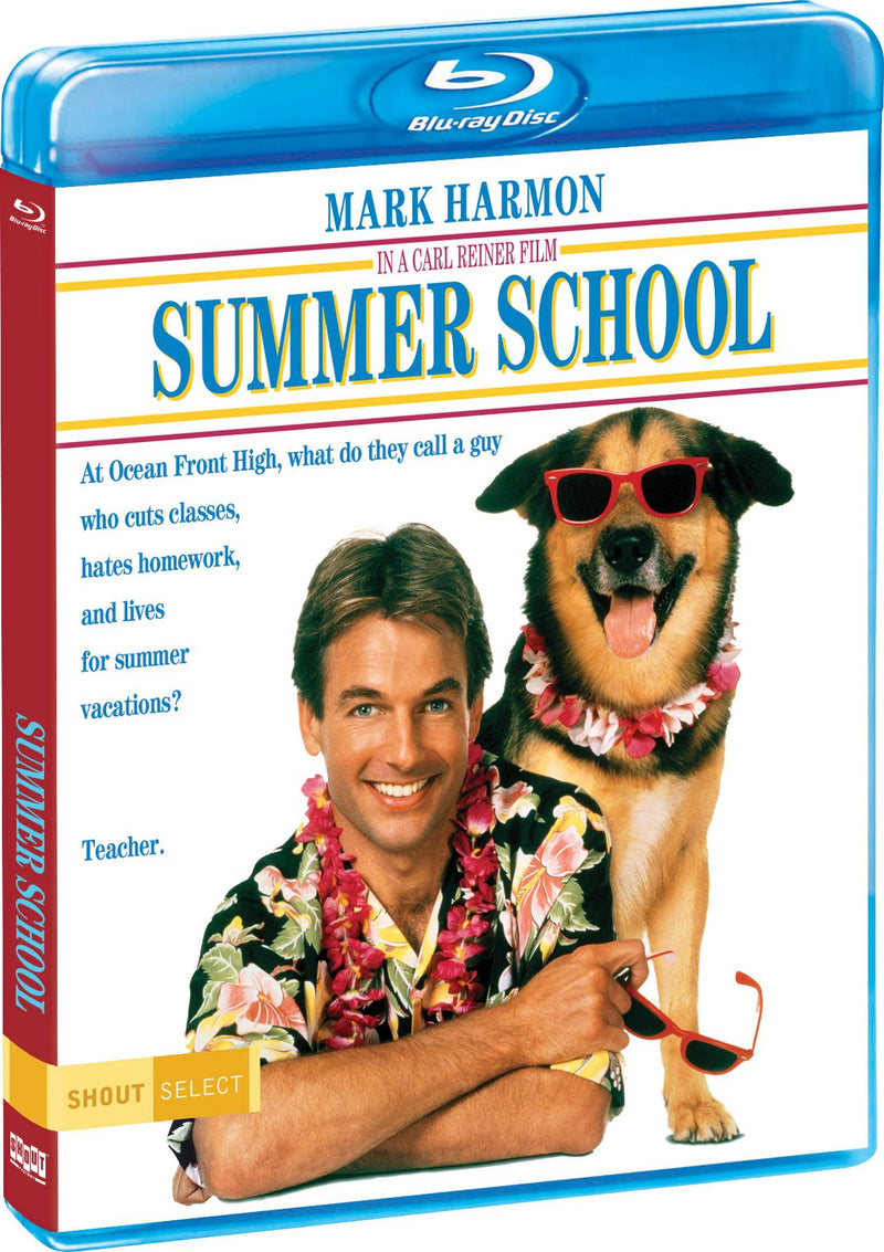 Summer School [Blu-ray] [Blu-ray]