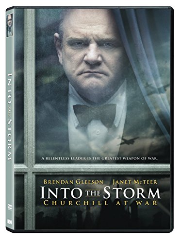 Into the Storm [DVD]