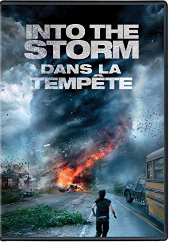 Into The Storm [DVD]
