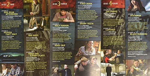 Supernatural: The Complete Ninth Season [DVD]