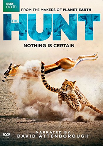 The Hunt [DVD]