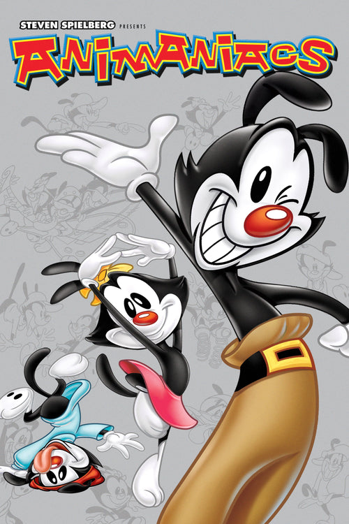 Steven Spielberg Presents Animaniacs: The Complete First Volume [DVD]