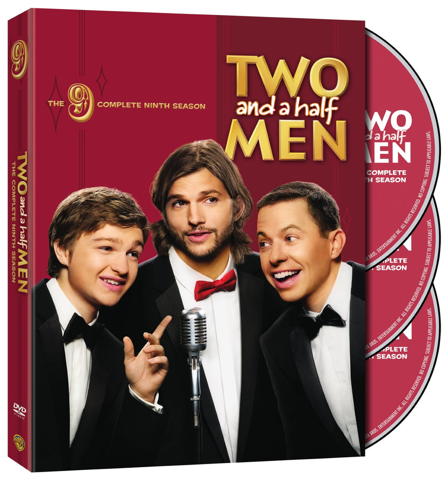 Two and a Half Men: The Complete Ninth Season [DVD]