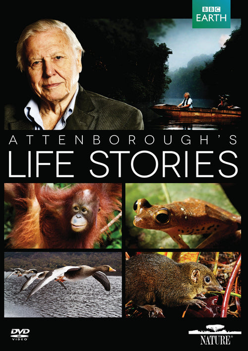Life Stories [DVD]