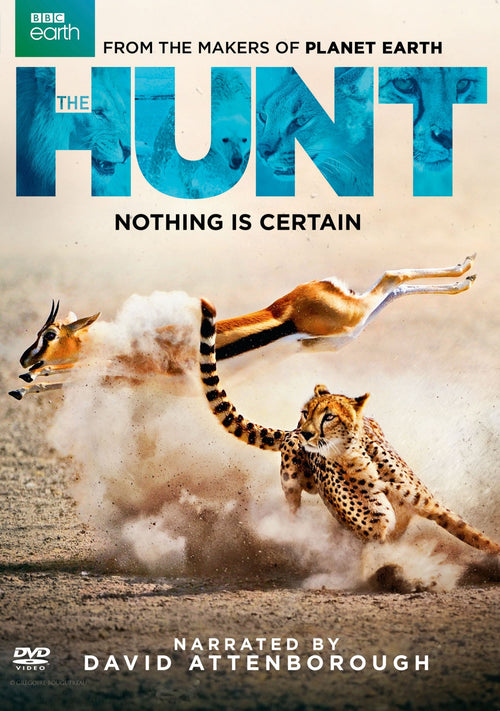 The Hunt [DVD]
