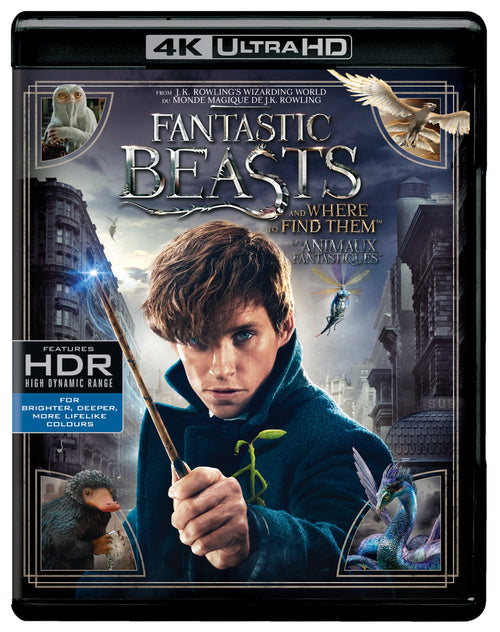 Fantastic Beasts and Where to Find [UHD]