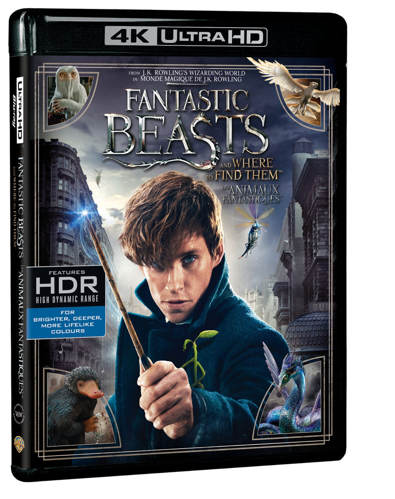 Fantastic Beasts and Where to Find [UHD]