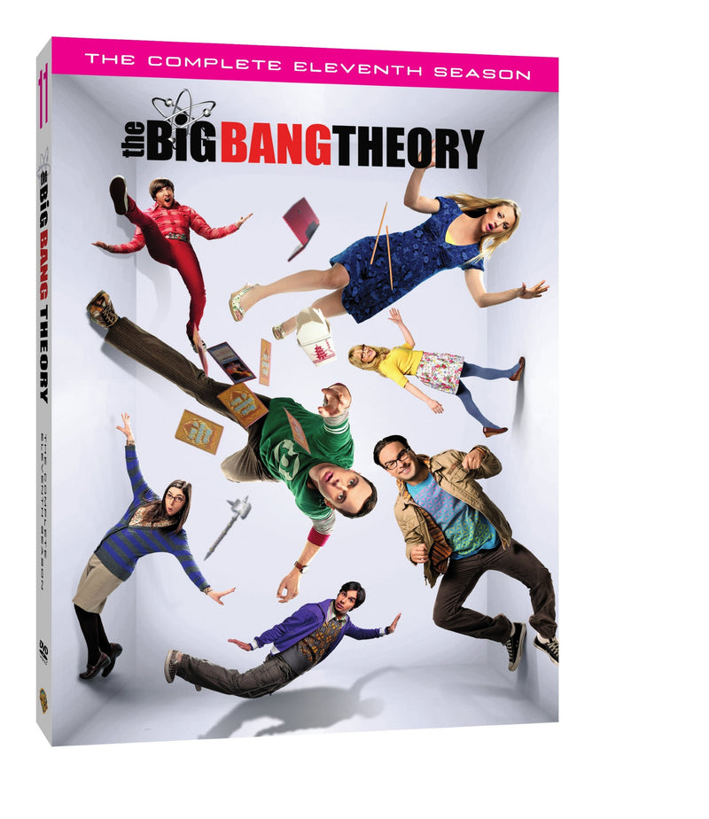 The Big Bang Theory: The Complete Eleventh Season [DVD]
