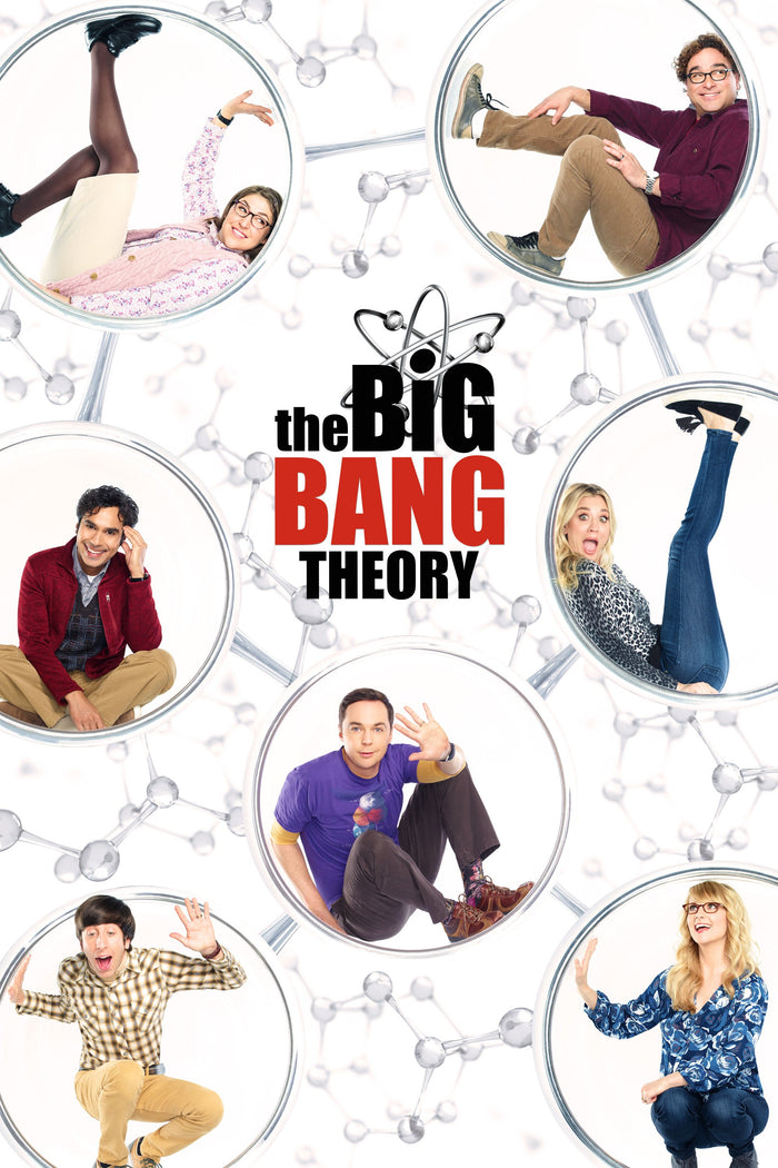 The Big Bang Theory: The Complete Series (Box Set) [DVD]
