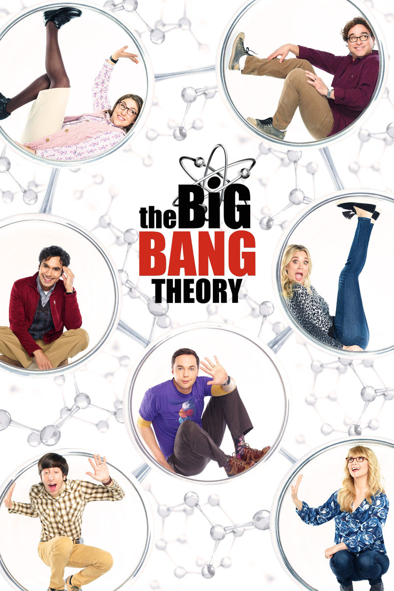 The Big Bang Theory: The Complete Series (Box Set) [DVD]