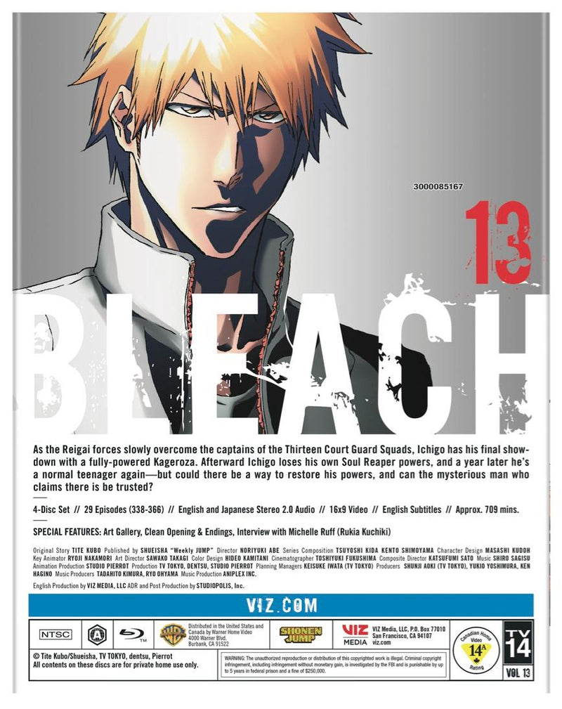 Bleach [Blu-Ray]
