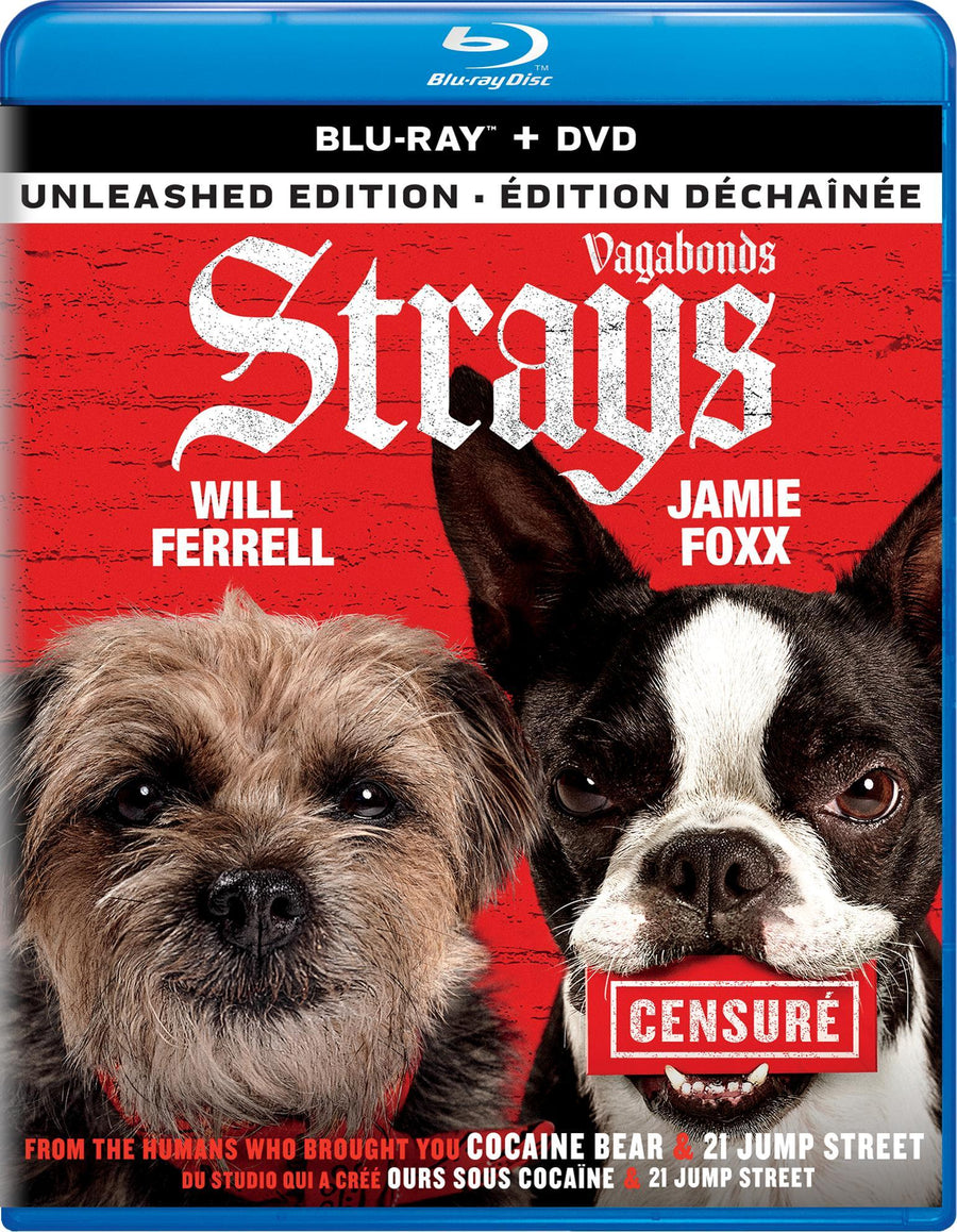 Strays (Blu-ray + DVD) [Blu-Ray]