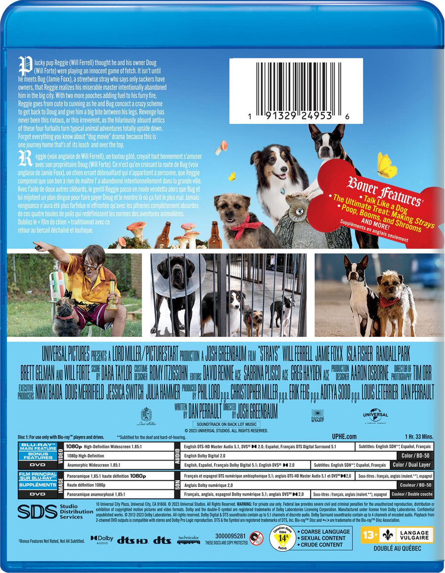 Strays (Blu-ray + DVD) [Blu-Ray]