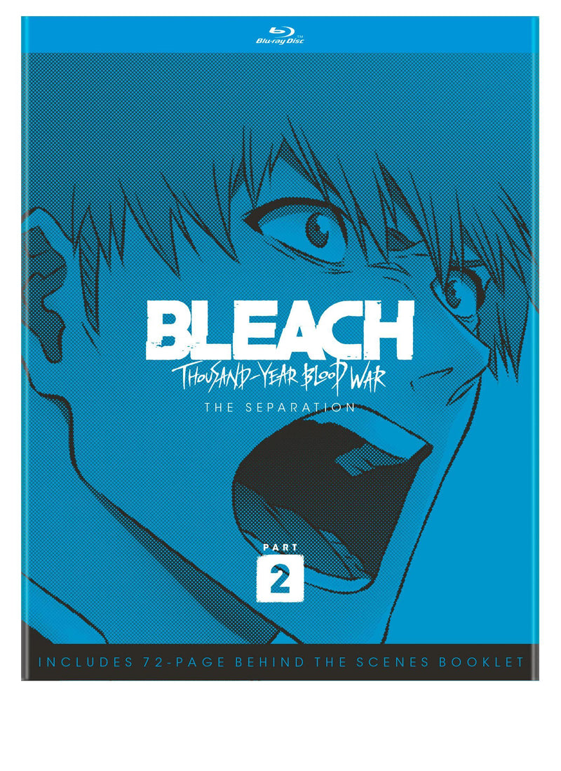 Bleach: Thousand-Year Blood War - Part Two (2) (Limited Edition) [Blu-ray]