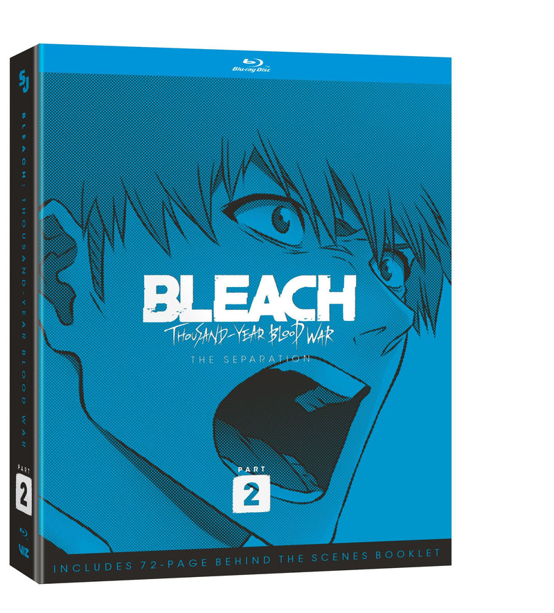 Bleach: Thousand-Year Blood War - Part Two (2) (Limited Edition) [Blu-ray]