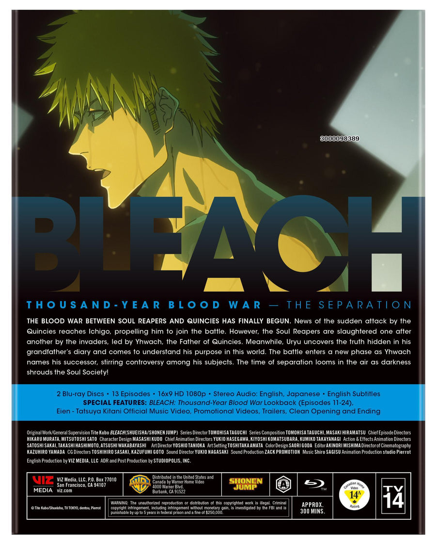 Bleach: Thousand-Year Blood War - Part Two (2) [Blu-ray]