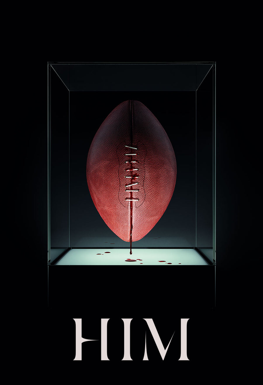 HIM [DVD]