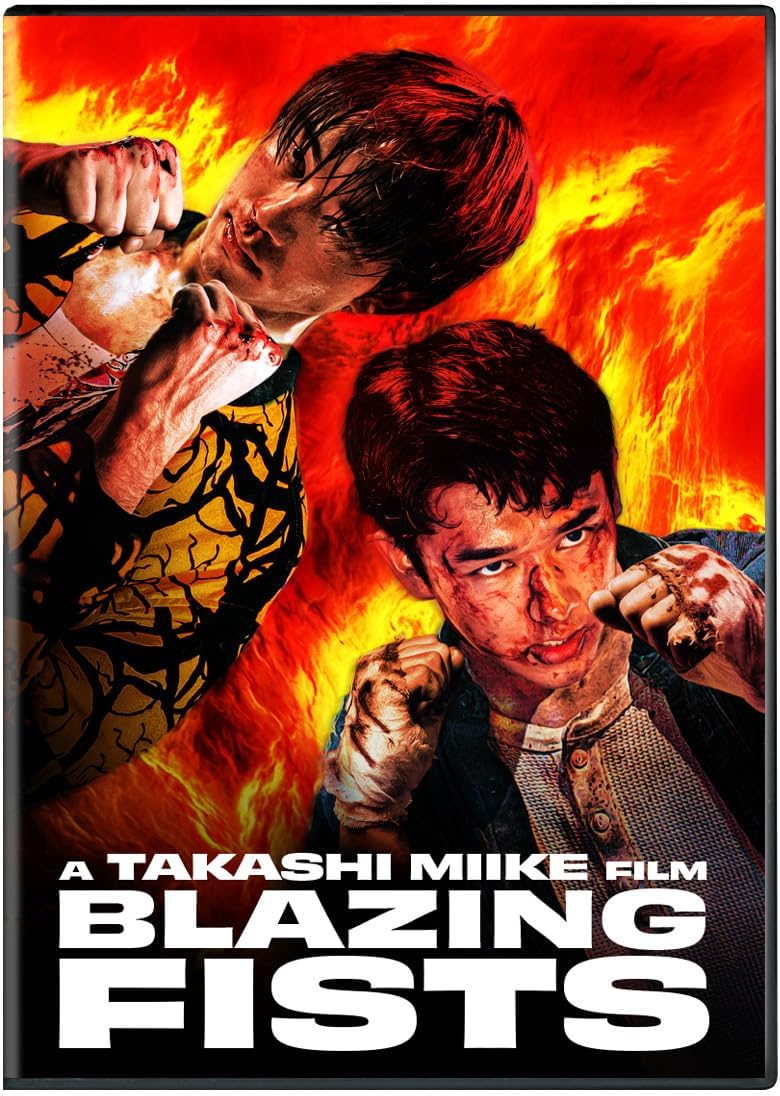 BLAZING FISTS  [DVD]