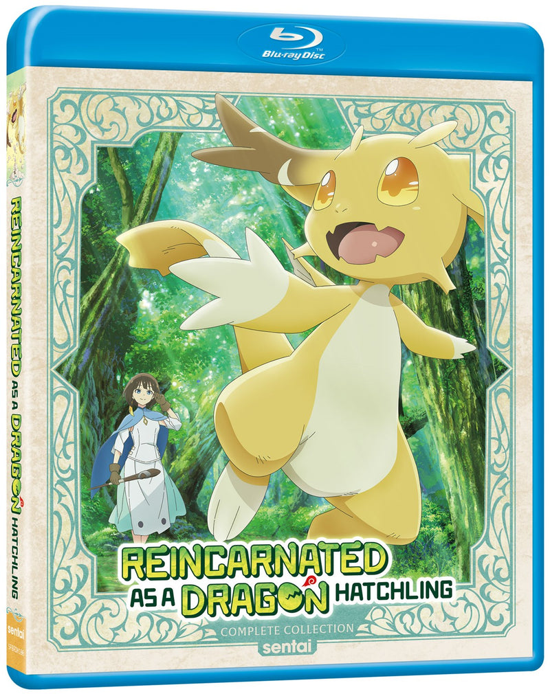 Reincarnated as a Dragon Hatchling Complete Collection [Blu-ray]