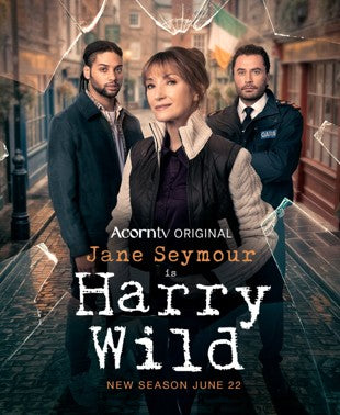 HARRY WILD Series 5 [DVD]