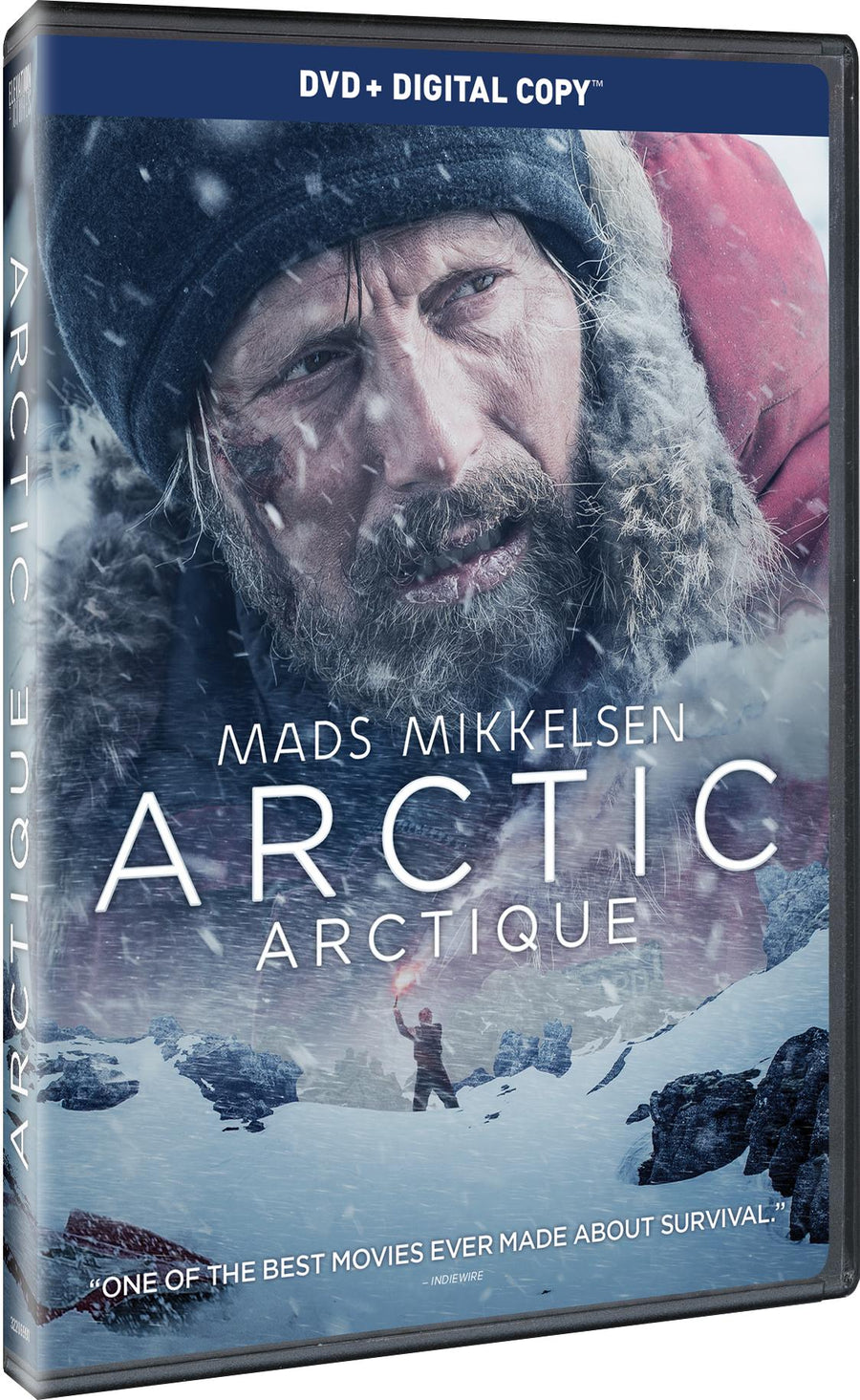 Arctic - DVD + Digital [DVD]
