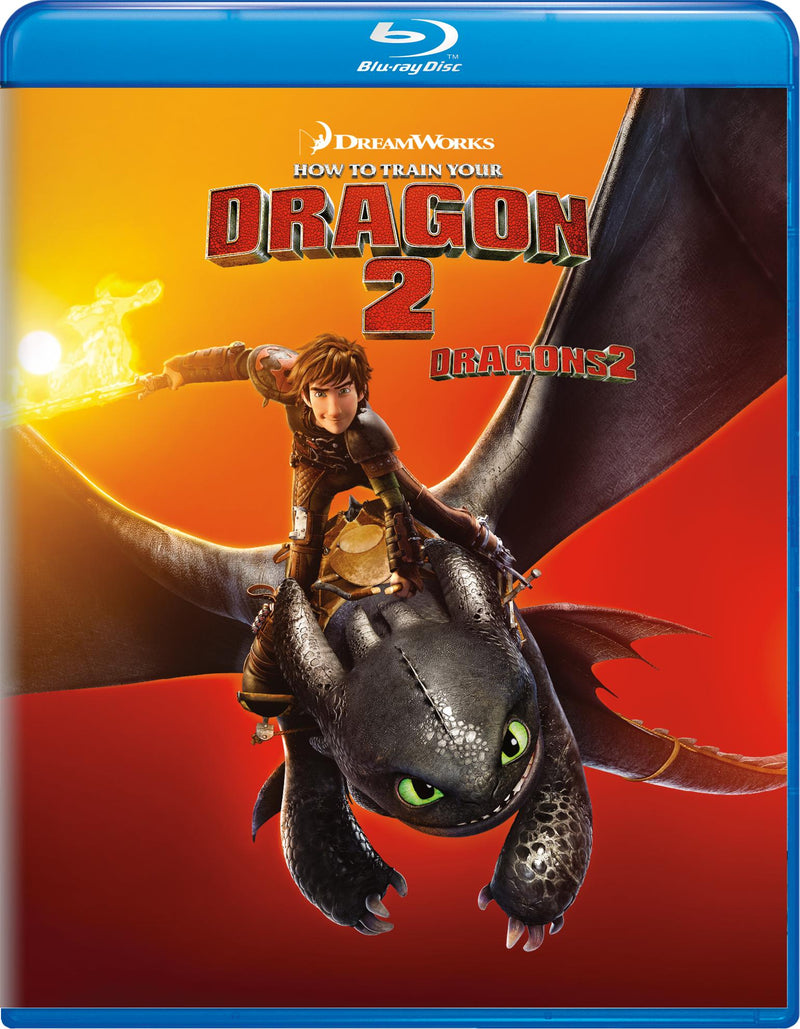 How to Train Your Dragon 2 [Blu-Ray]