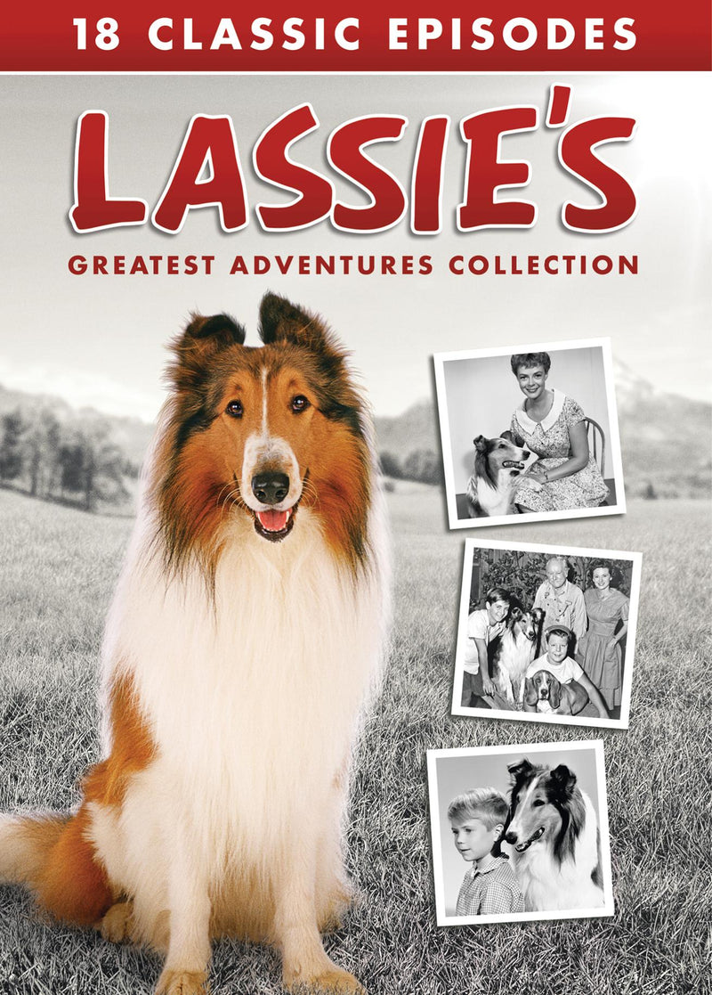 Lassie's Greatest Adventures Collection [DVD]