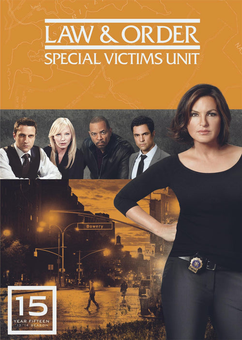 Law & Order: Special Victims Unit - Season 15 [DVD]