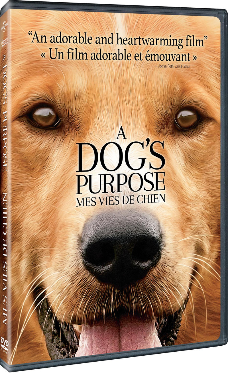 A Dog's Purpose [DVD]