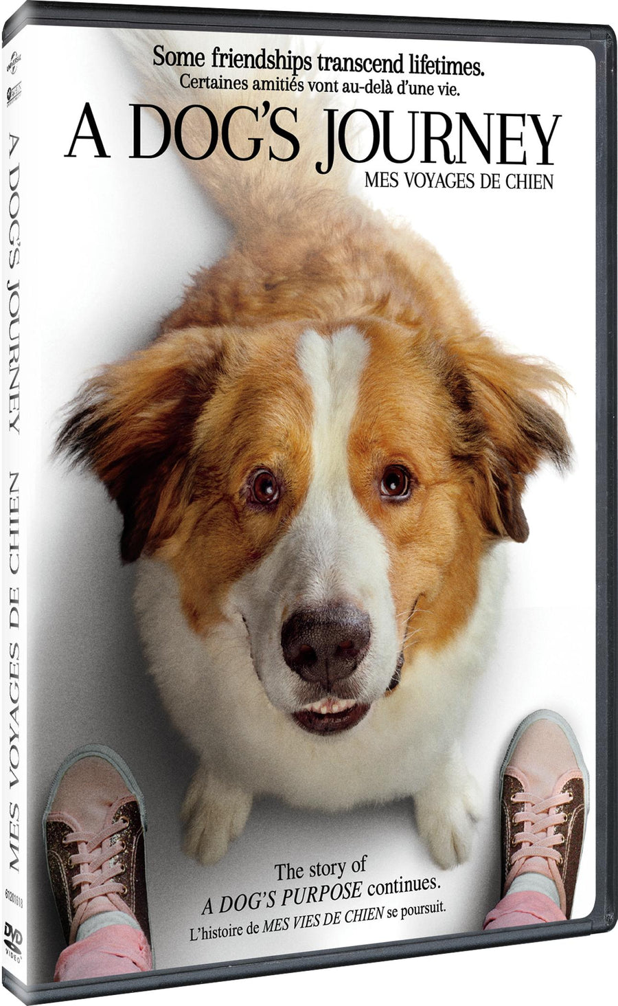A Dog's Journey [DVD]