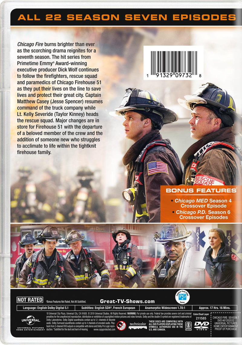 Chicago Fire: Season Seven [DVD]
