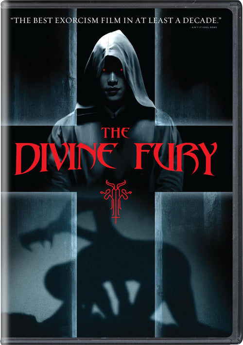 The Divine Fury [DVD]