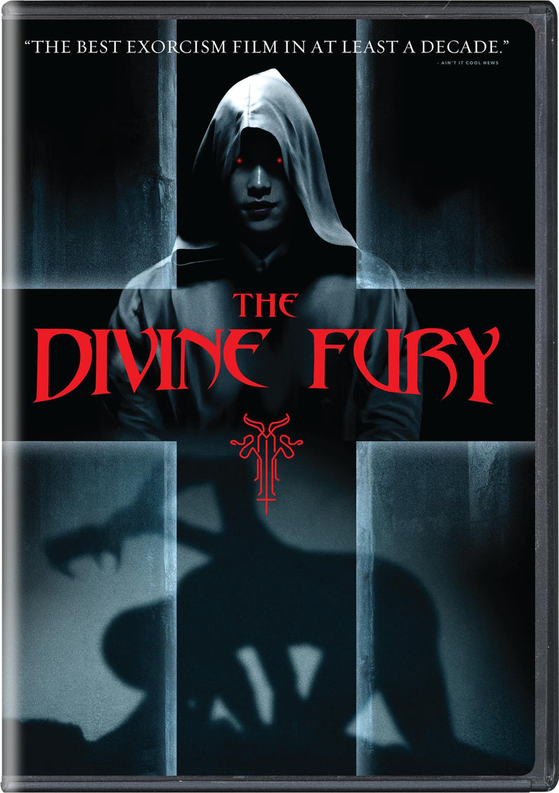 The Divine Fury [DVD]