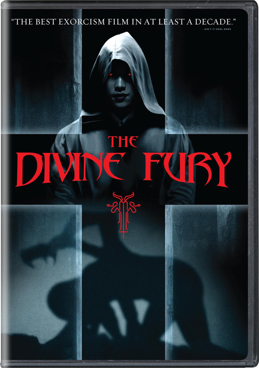 The Divine Fury [DVD]