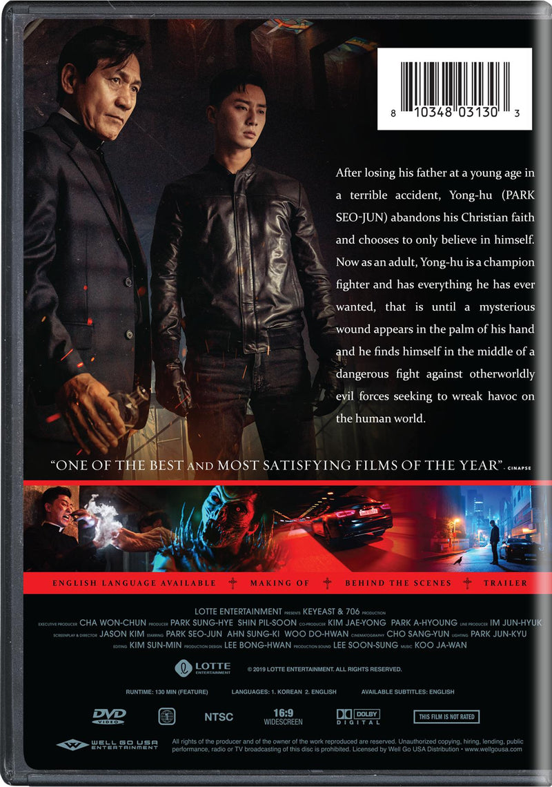 The Divine Fury [DVD]