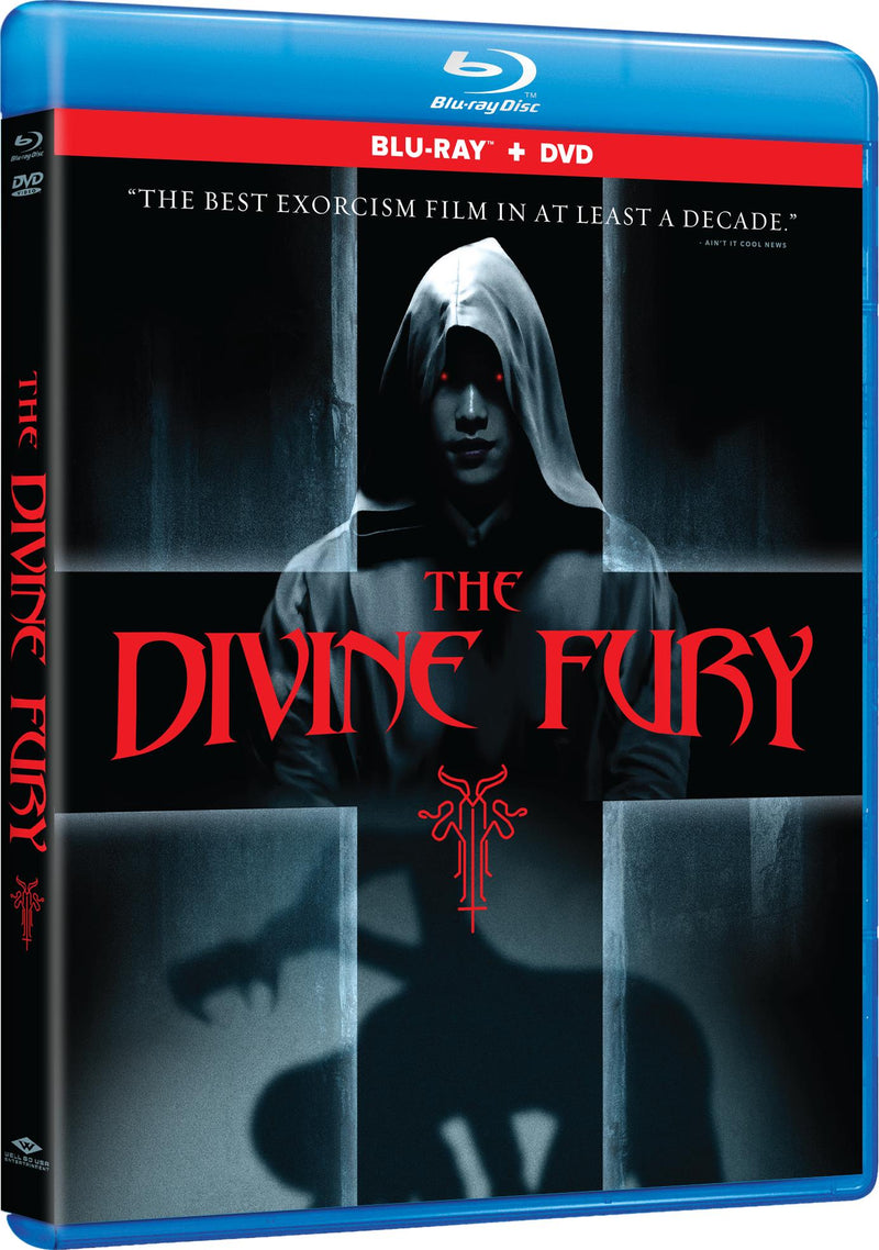 The Divine Fury (with DVD) [Blu-ray]